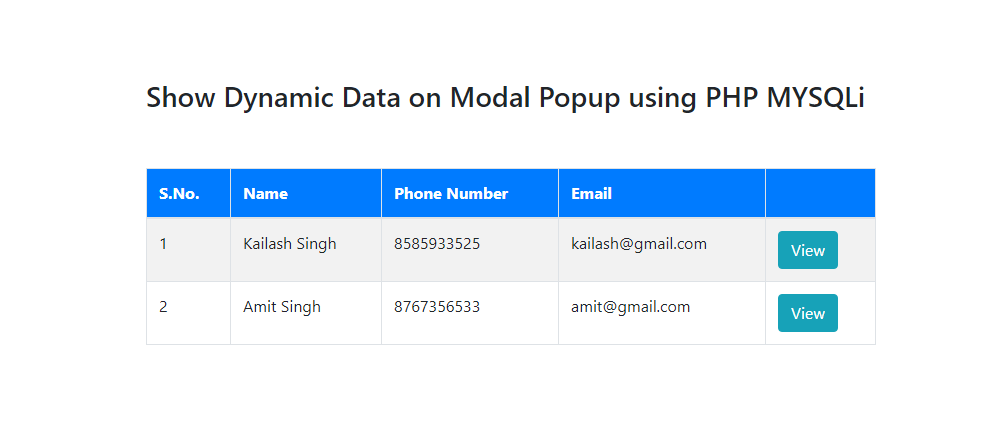 Show dynamic data on modal popup using php